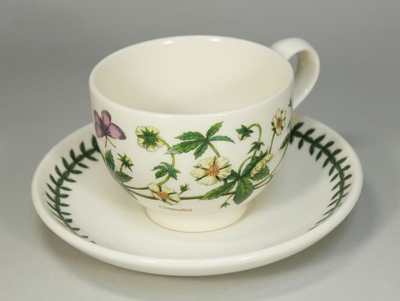 Чашка чайная с блюдцем Portmeirion "Ботанический сад. Лапчатка" 200мл