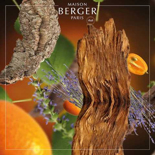 Сменный аромат для автодиффузора 2 шт, Антитабак древесный, 6418, Maison Berger