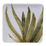 Тарелка закусочная Алоэ 22 см Certified Int. Кактусы