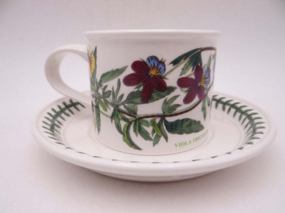 Чашка чайная с блюдцем Portmeirion "Ботанический сад. Фиалка трехцветная" 200мл