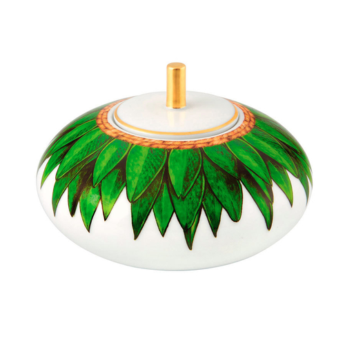 Сахарница Amazonia, Vista Alegre