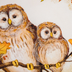 Тарелка обеденная Совы 27 см Certified Int. Сосновый лес