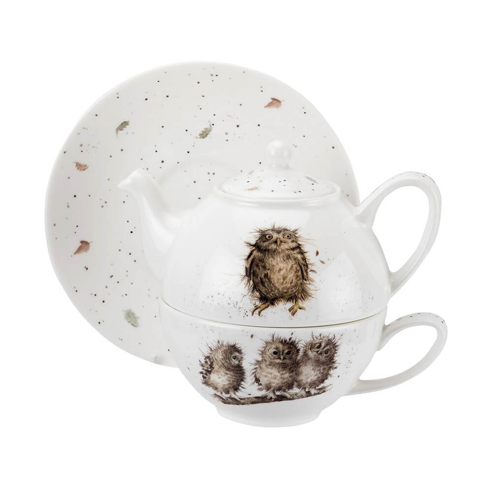 Фарфоровый чайный набор Эгоист "Забавная фауна. Совы", 300 мл, Royal Worcester