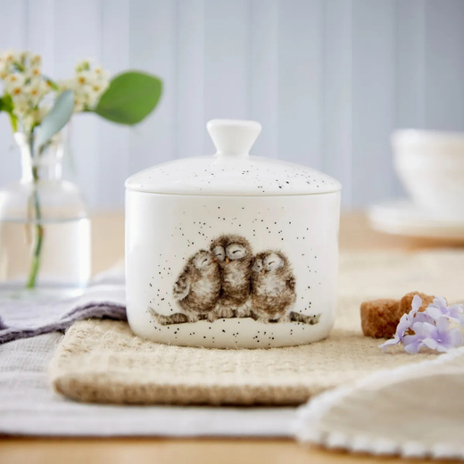 Банка "Забавная фауна. Совята", Wrendale Designs, Royal Worcester