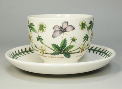 Чашка чайная с блюдцем Portmeirion "Ботанический сад. Лапчатка" 280мл