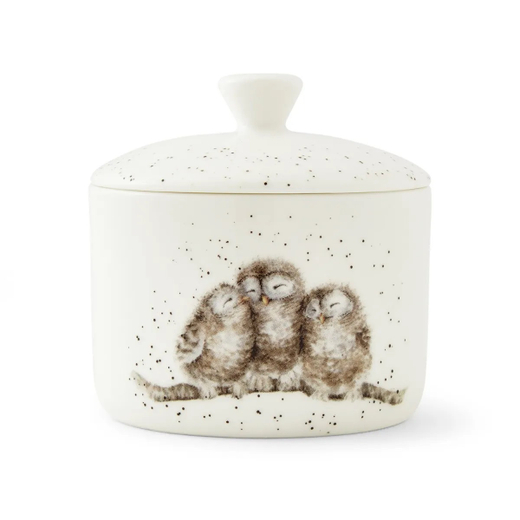 Банка "Забавная фауна. Совята", Wrendale Designs, Royal Worcester