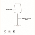 Набор из 2 бокалов для белого вина Wine Culture 490 мл, LSA International