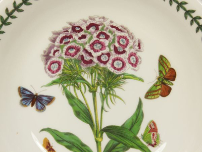 Тарелка для пасты  Portmeirion "Ботанический сад. Гвоздика турецкая" 20см