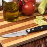 Нож для чистки овощей и фруктов 10 см, черный, Manhattan, Arcos
