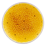 Тарелка десертная 21х2,6 см Bordallo Pinheiro "Маракуйя"