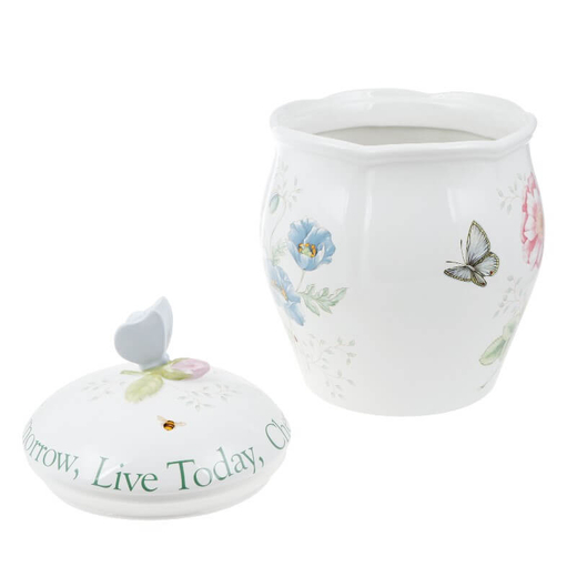 Банка для печенья 24 см, фарфор, LEN827908, Бабочки на лугу, Lenox