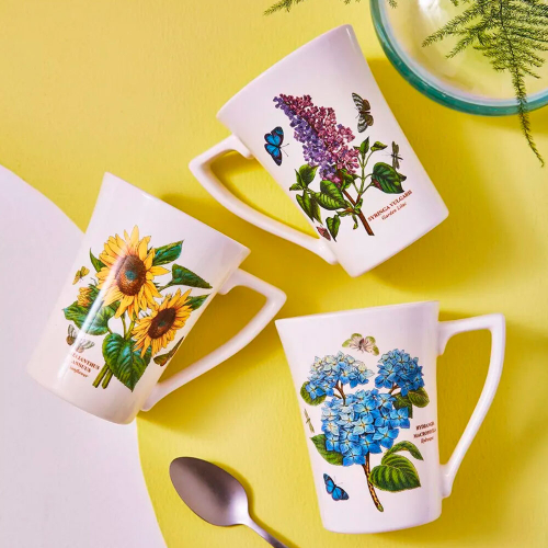 Набор кружек 6 шт, 280мл, Portmeirion "Ботанический сад" PRT-BG48811