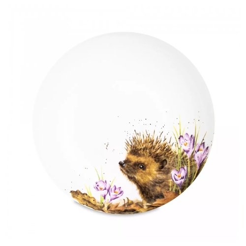 Тарелка для пасты "Забавная фауна. Пробуждение ежика", 22см, RWC WNB4341-XB-Hedgehog, Великобритания, Wrendale Designs, Royal Worcester