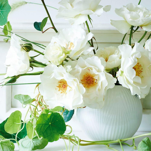 Ваза Wedgwood Фолия 12,5 см, фарфор, белая