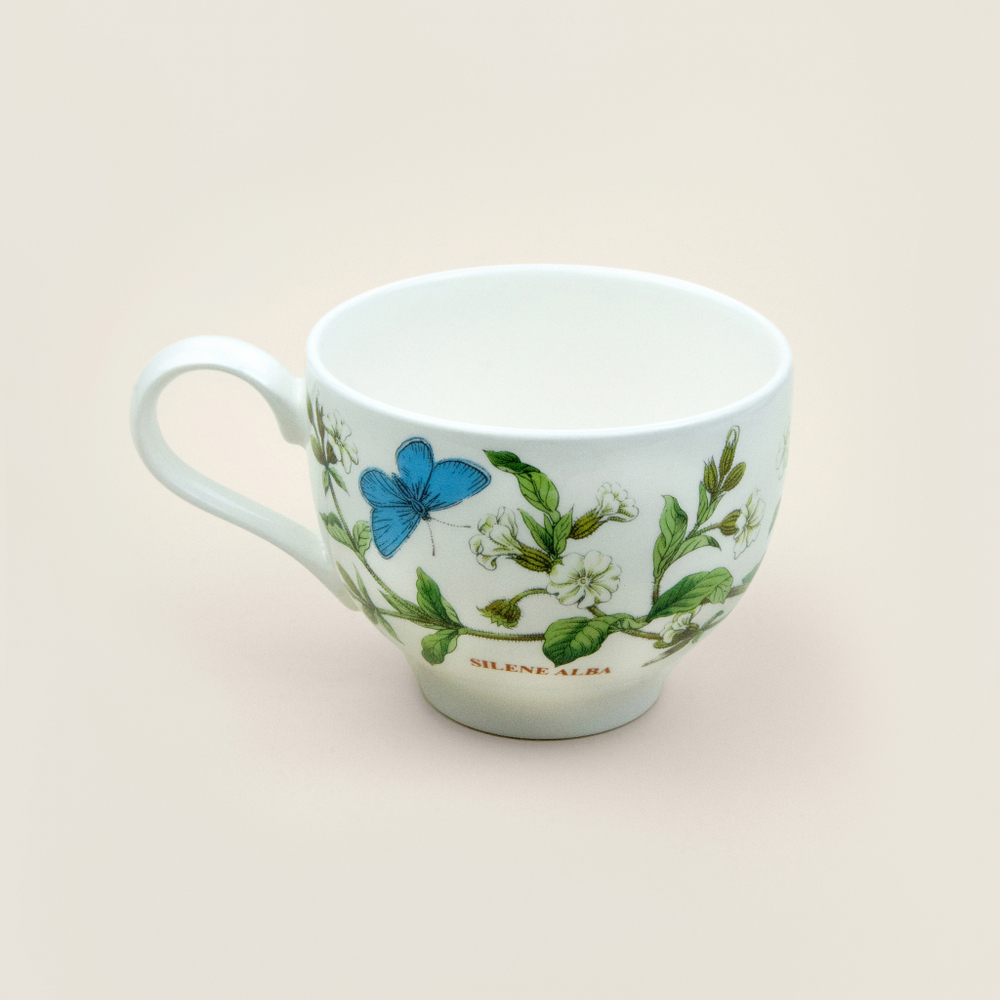Чашка с блюдцем с рисунком цветка Смолевка из коллекции Ботанический сад от бренда Зщкеьушкшщт