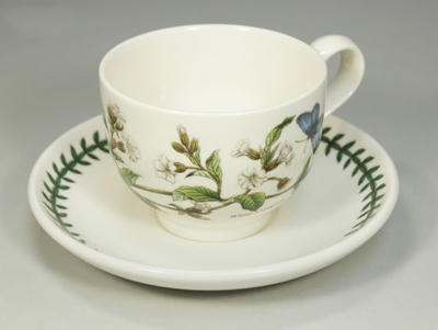 Чашка чайная с блюдцем Portmeirion "Ботанический сад. Смолевка" 200мл