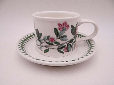 Чашка чайная с блюдцем Portmeirion"Ботанический сад. Рододендрон" 200мл