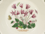 Тарелка суповая Portmeirion "Ботанический сад. Цикламен" 21,5см