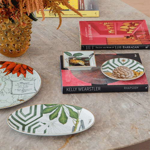 Блюдо овальное малое 29x18 см, Amazonia, Vista Alegre