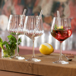 Набор бокалов для коктейля Gin & Tonic, 640 мл, с трубочками, 9 предметов, Tastes Good, Nachtmann