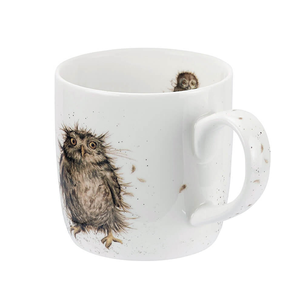 Фарфоровая кружка для чая и кофе "Забавная фауна. Сова", 310 мл, Royal Worcester