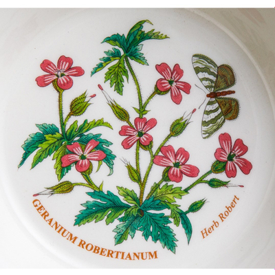 Тарелка для каши 15 см, "Ботанический сад. Герань", Portmeirion PRT-BGIK05202S