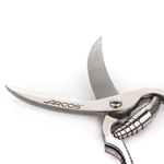 Ножницы для разделки птицы 25 см, нержавеющая сталь, 5390, Scissors, Arcos