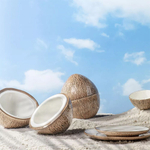 Тарелка обеденная 27х22,6 см Bordallo Pinheiro "Кокос"