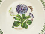 Тарелка суповая Portmeirion "Ботанический сад. Примула" 21,5см